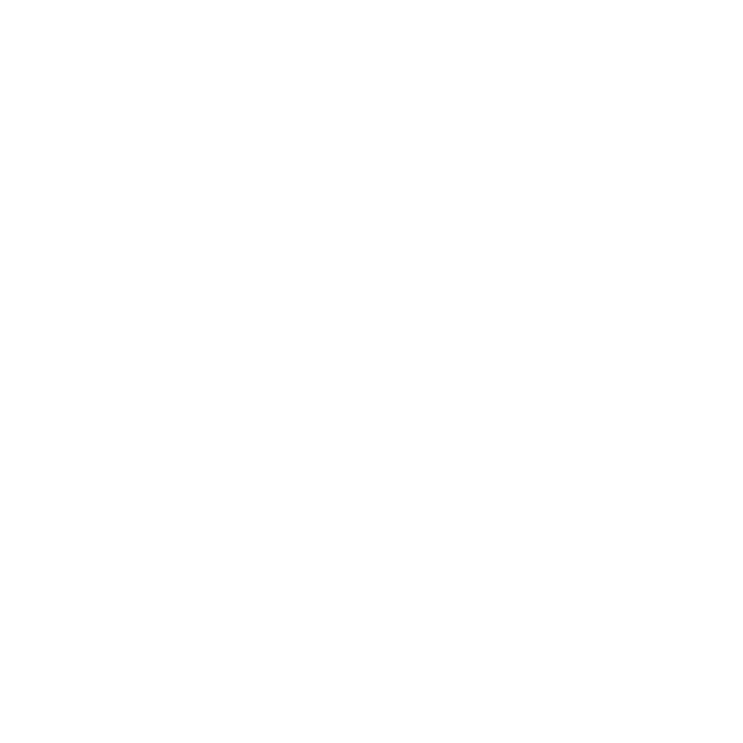 PayZu